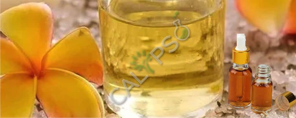 Champaca White абсолютные нефтяные льготы